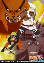 Naruto Shippuden: Nine-Tailed Fox Taming and Karmic Encounters