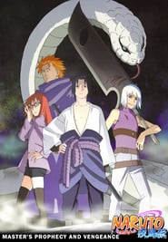 Naruto Shippuden: The Master