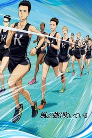 Run with the Wind: Season 1